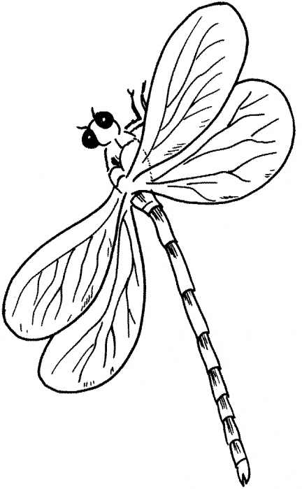 free Dragonfly coloring page