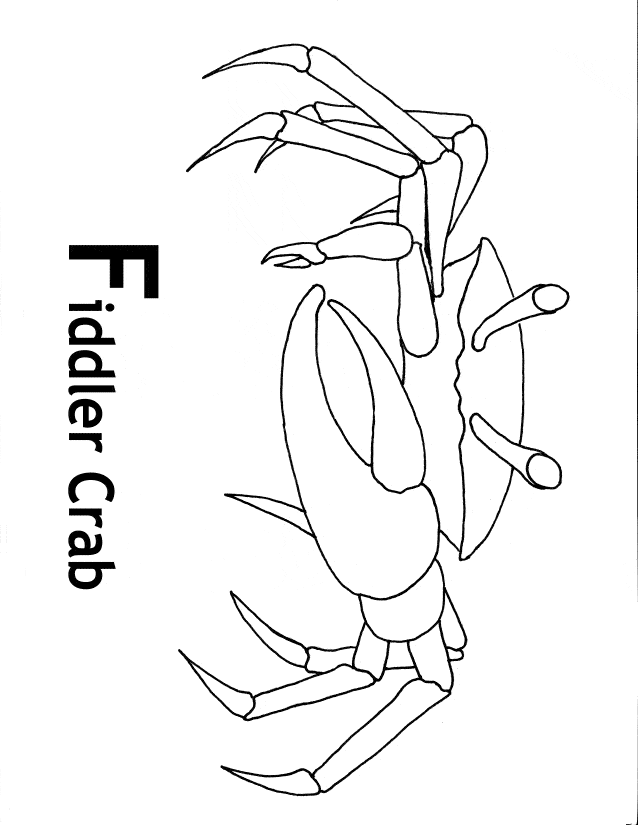 free Fiddler Crab coloring page