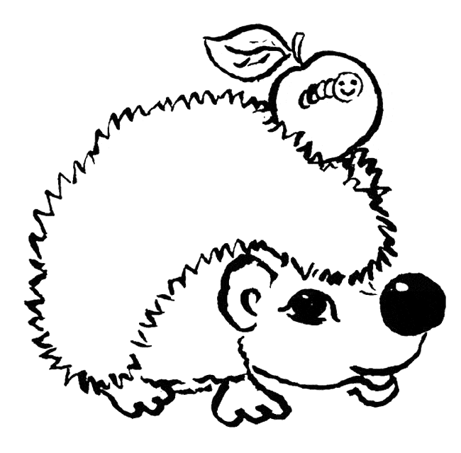 Color Hedgehog