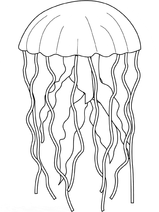 Coloring Jellyfish