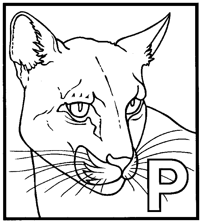 Panther coloring page Animals Town animals color sheet