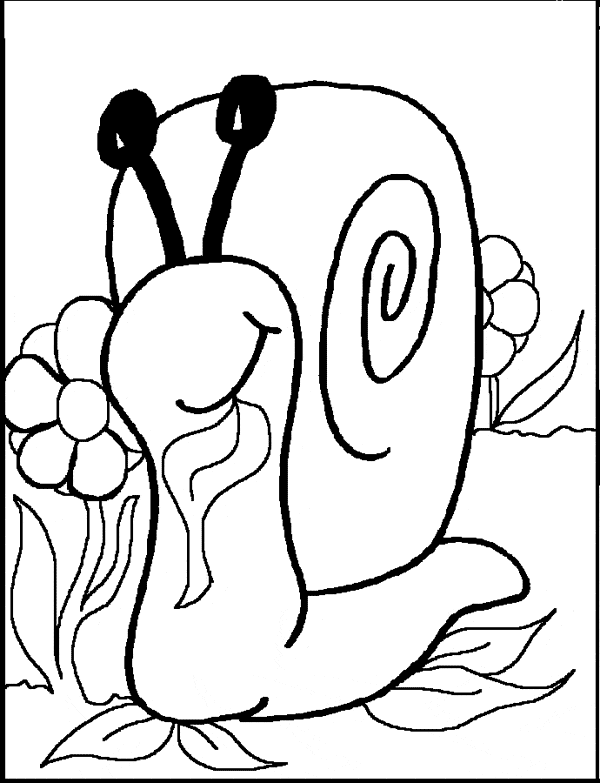coloring pages snail