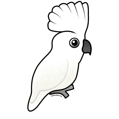 free Umbrella Bird coloring page