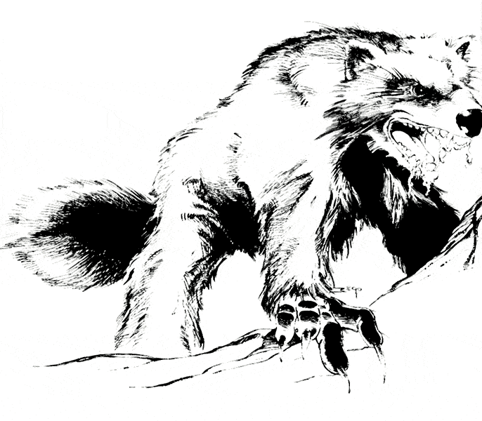 Wolverine coloring page - Animals Town - animals color sheet