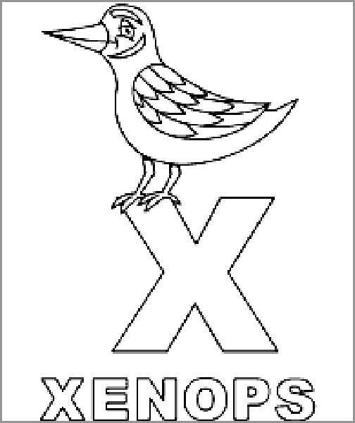 xenops coloring pages - photo #1