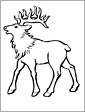 elk animal coloring page