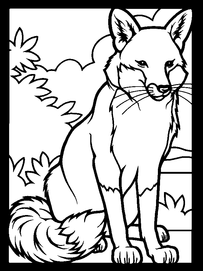 Download Fox Coloring Page Animals Town Animal Color Sheets Fox Picture