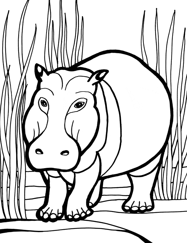 Hippopotamus Hippo coloring page Animals Town