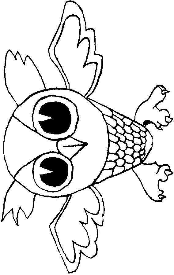 cute baby owl animals coloring pages