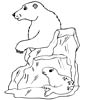 Polar Bear Coloring Pages Advanced 5