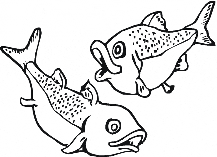 Salmon Coloring Page Animals Town Animal Color Sheets