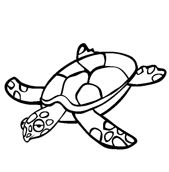 sea turtle coloring page  animals town  animal color