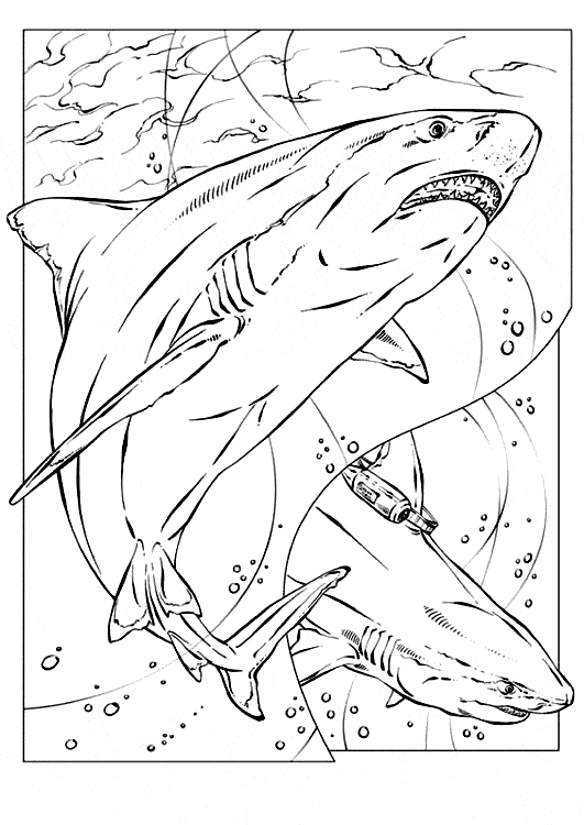 Shark coloring page - Animals Town - animals color sheet - Shark free ...