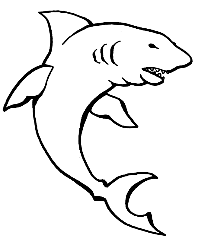 bull shark coloring page
