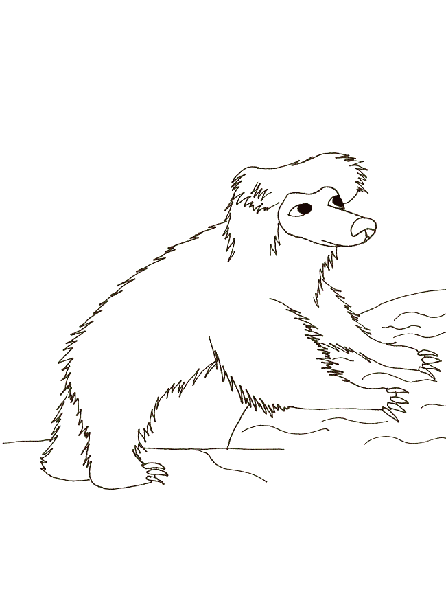 42+ Mammals bears sloth bear coloring pages ideas in 2021 