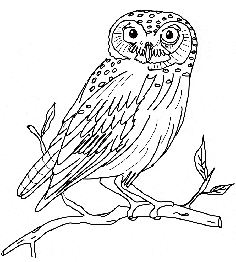 Snowy Owl coloring page - Animals Town - animals color sheet - Snowy ...