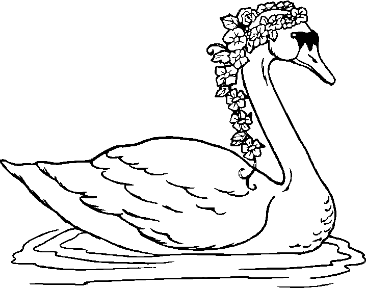 Swan coloring page - Animals Town - Animal color sheets Swan picture