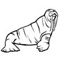 Walrus - Animals Town